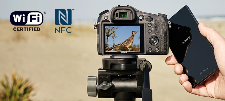 DSC-RX10M2 Specifications | Cameras | Sony Indonesia
