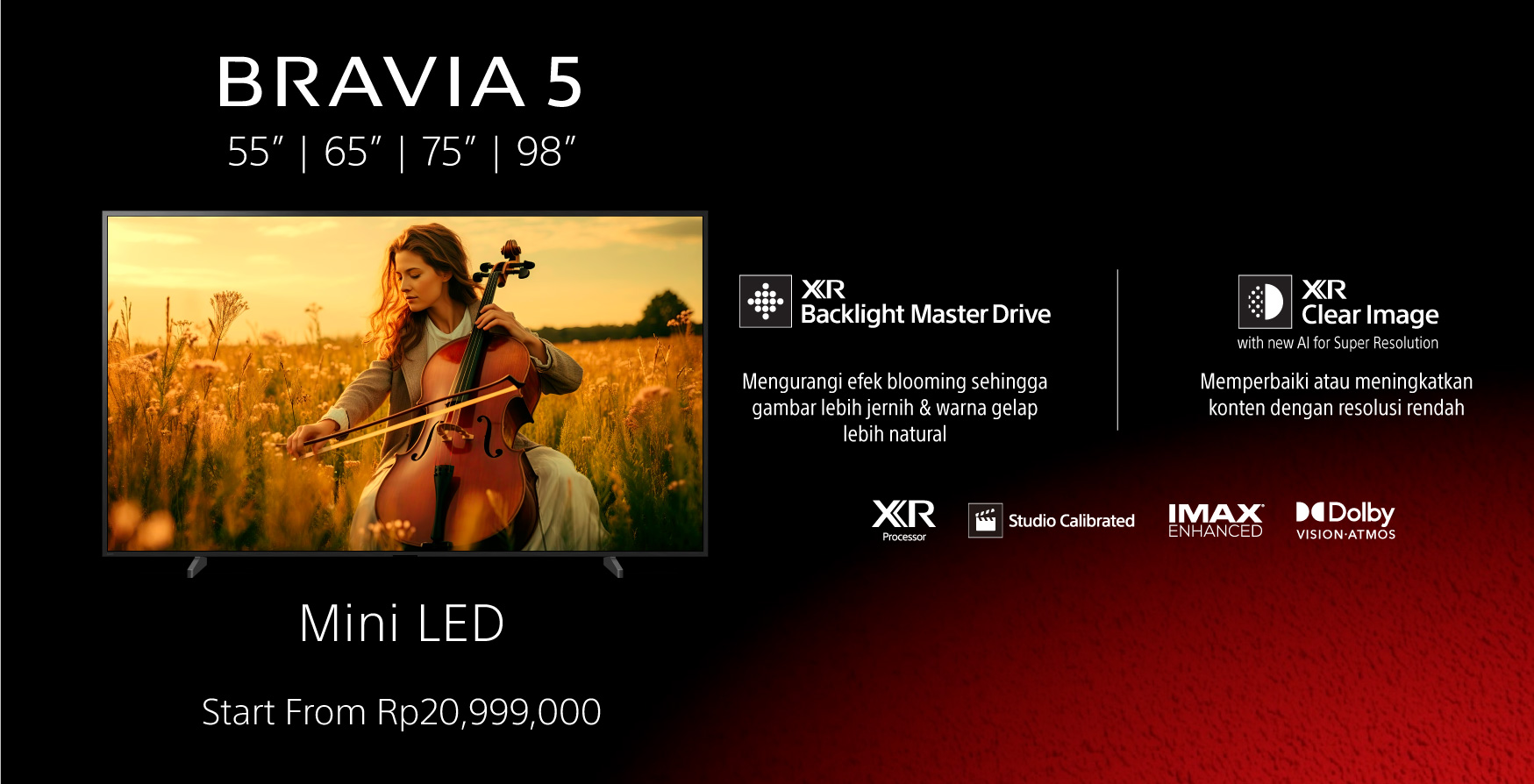 BRAVIA 5